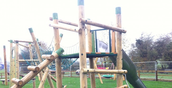 Activities for Primary School Students in Surrey